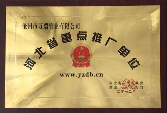 河北省重点推广企业证书